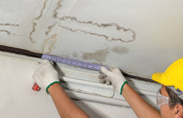 Reliable Water Damage contractor in Sheridan, MI by Water Damage Irwin